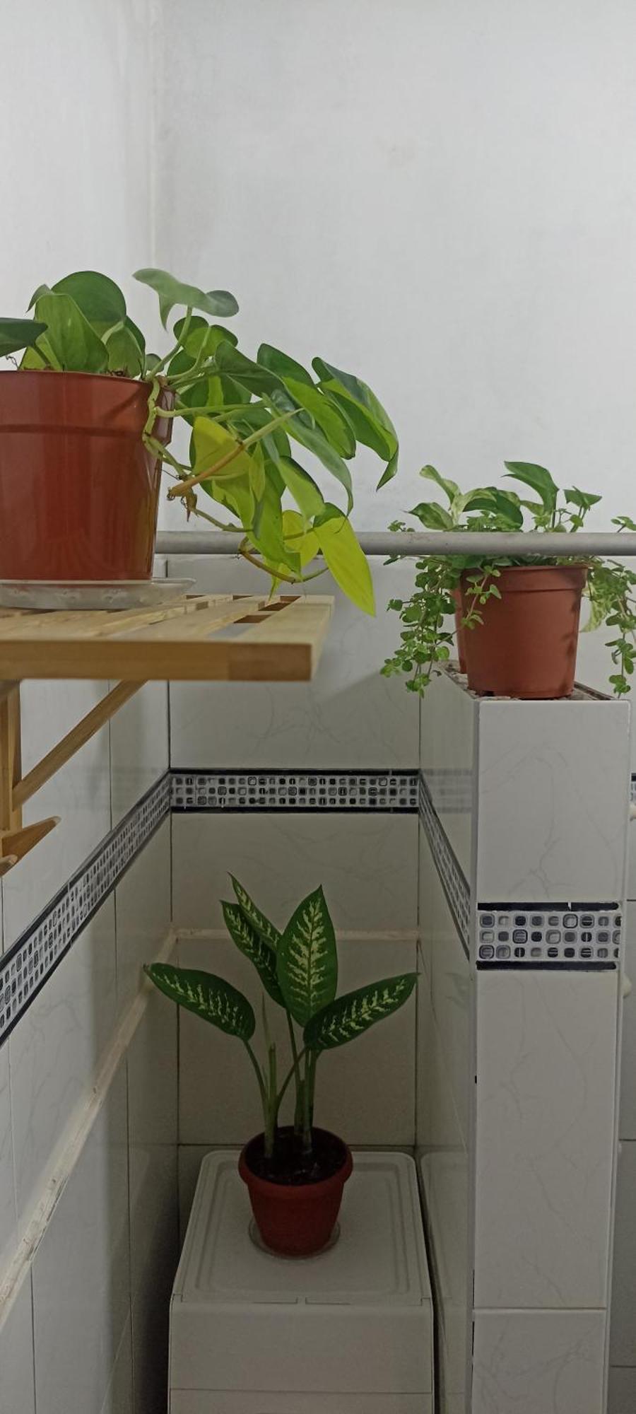 Casita Libertad Barranco Apartment ลิมา ภายนอก รูปภาพ