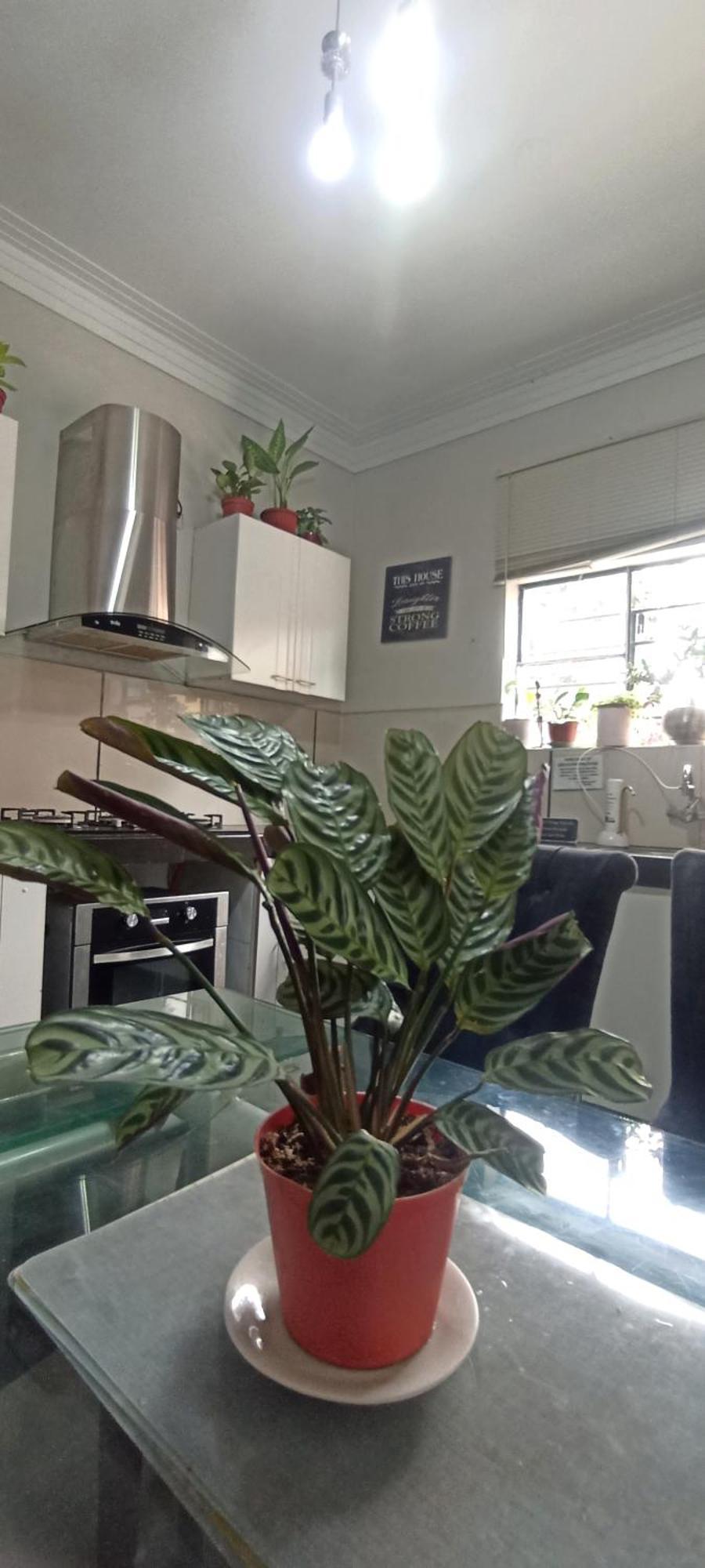Casita Libertad Barranco Apartment ลิมา ภายนอก รูปภาพ