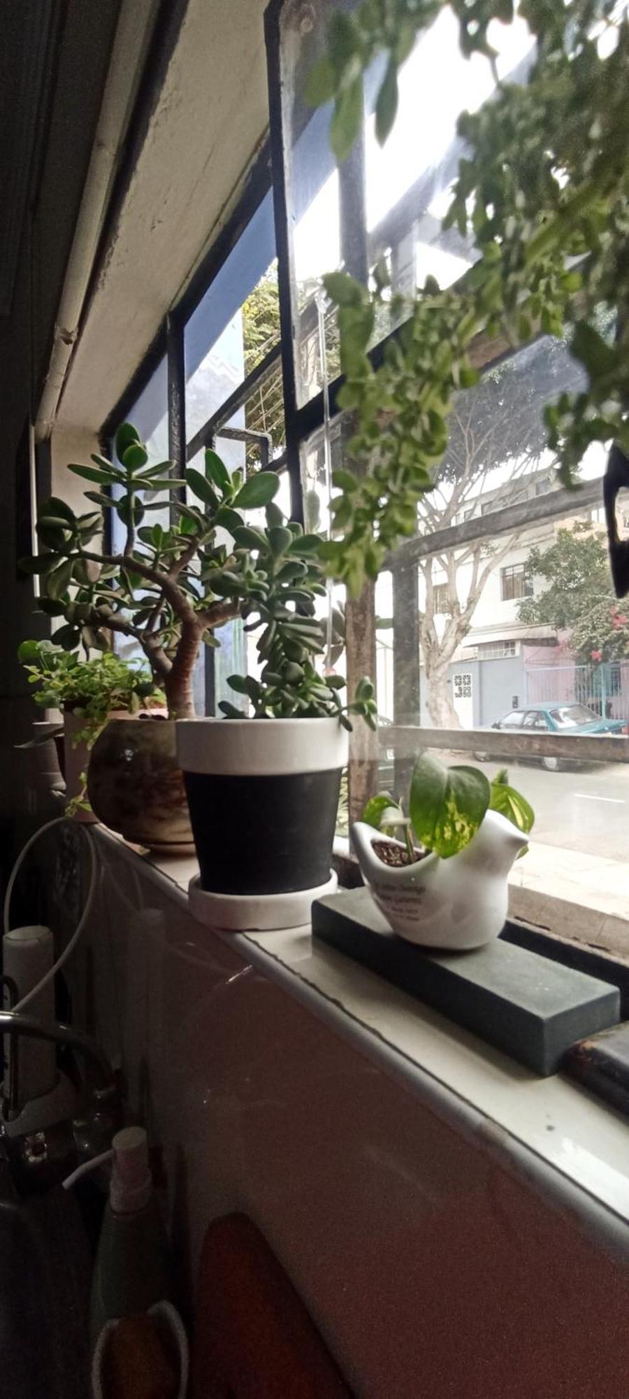 Casita Libertad Barranco Apartment ลิมา ภายนอก รูปภาพ